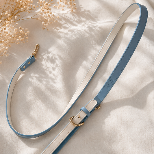 Matching Dog Leash Beverly