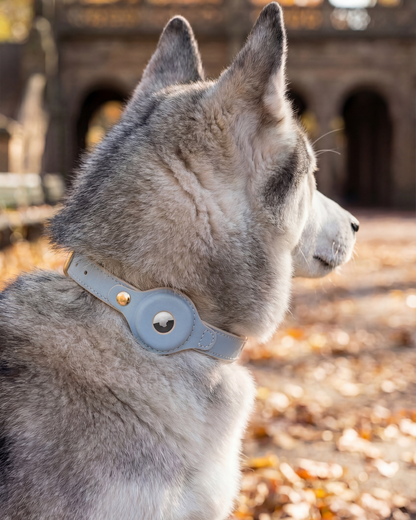 AirTag Dog Collar Beverly