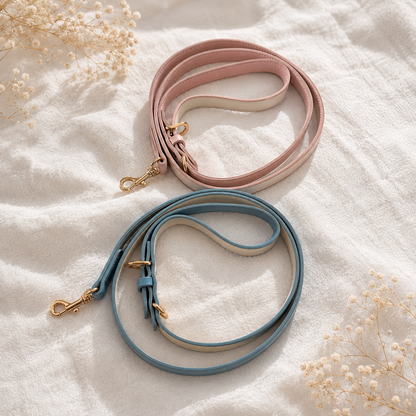Matching Dog Leash Beverly