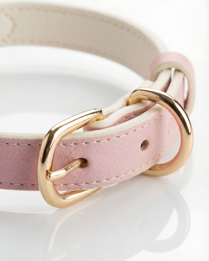 AirTag Dog Collar Beverly