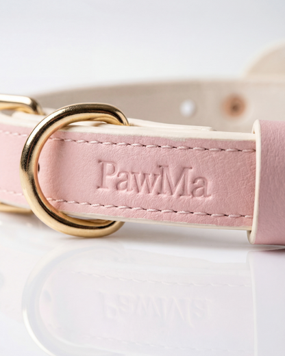 AirTag Dog Collar Beverly