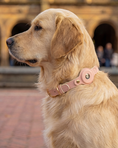 AirTag Dog Collar Beverly
